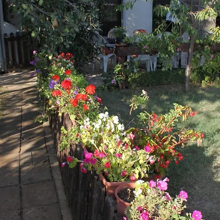 Guest house And With Parking Space - 7170